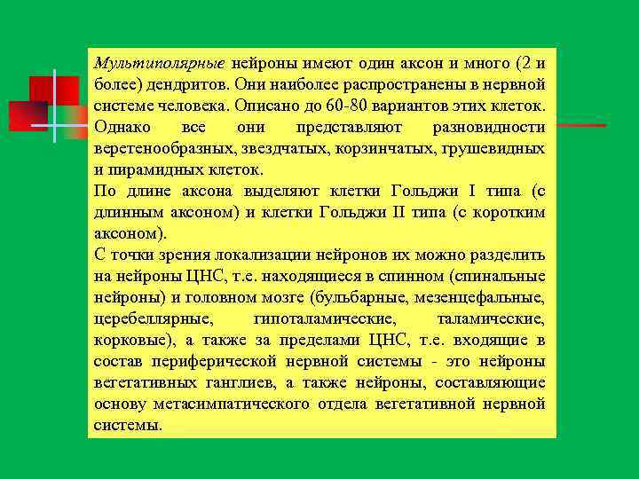 Мультиполярные нейроны имеют один аксон и много (2 и более) дендритов. Они наиболее распространены