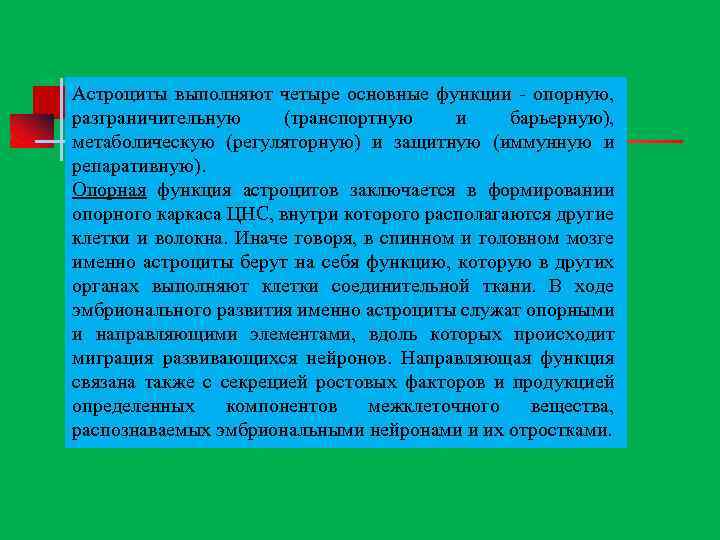 Астроциты выполняют четыре основные функции опорную, разграничительную (транспортную и барьерную), метаболическую (регуляторную) и защитную