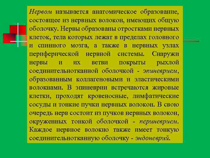 Нервом называется анатомическое образование, состоящее из нервных волокон, имеющих общую оболочку. Нервы образованы отростками