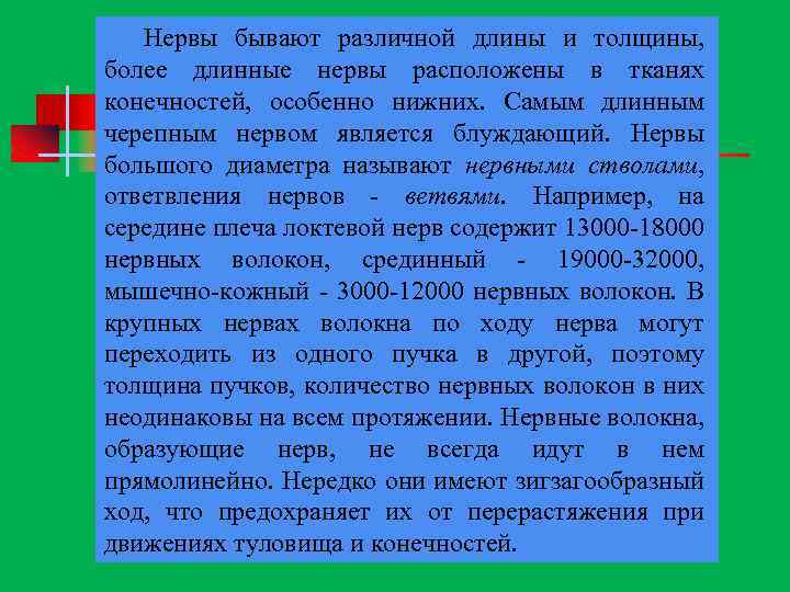 Нервы бывают различной длины и толщины, более длинные нервы расположены в тканях конечностей, особенно