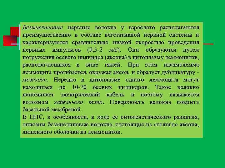 Безмиелиновые нервные волокна у взрослого располагаются преимущественно в составе вегетативной нервной системы и характеризуются