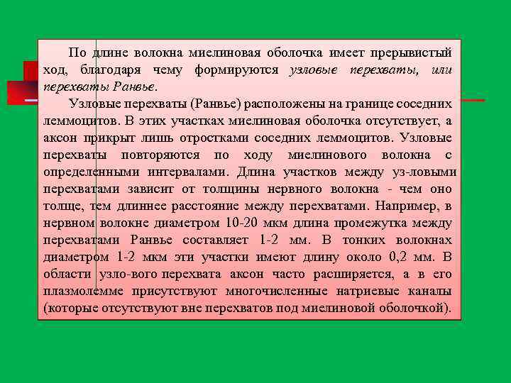 По длине волокна миелиновая оболочка имеет прерывистый ход, благодаря чему формируются узловые перехваты, или