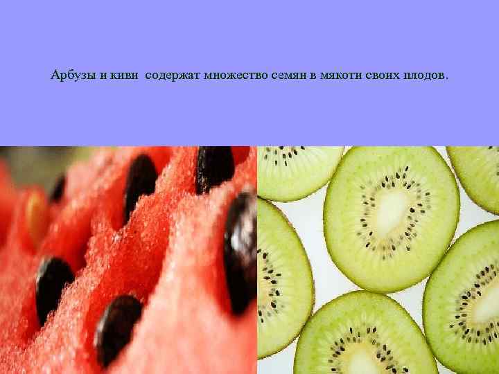 Арбузы и киви содержат множество семян в мякоти своих плодов. 