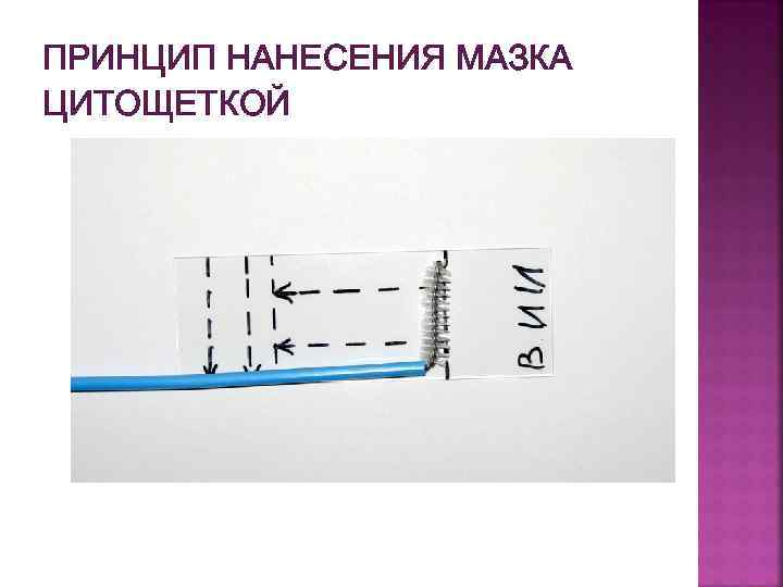ПРИНЦИП НАНЕСЕНИЯ МАЗКА ЦИТОЩЕТКОЙ 