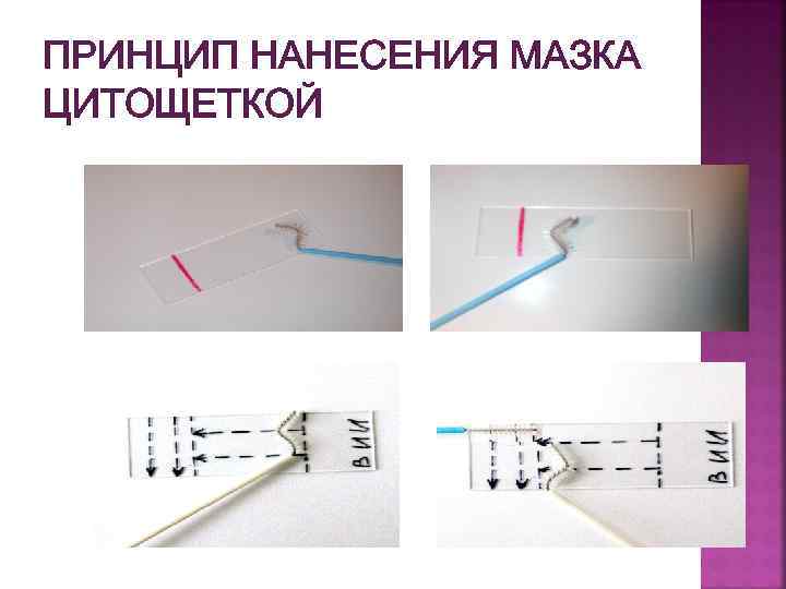 ПРИНЦИП НАНЕСЕНИЯ МАЗКА ЦИТОЩЕТКОЙ 