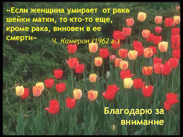  «Если женщина умирает от рака шейки матки, то кто-то еще‚ кроме рака, виновен