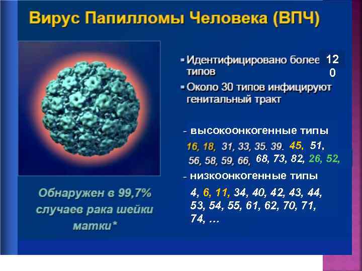 12 0 высокоонкогенные типы 45, 1 51, 68, 73, 82, 26, 52, 53 …