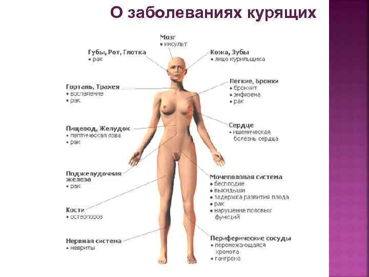 О заболеваниях курящих 