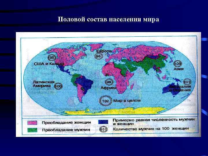 Половой состав населения мира 