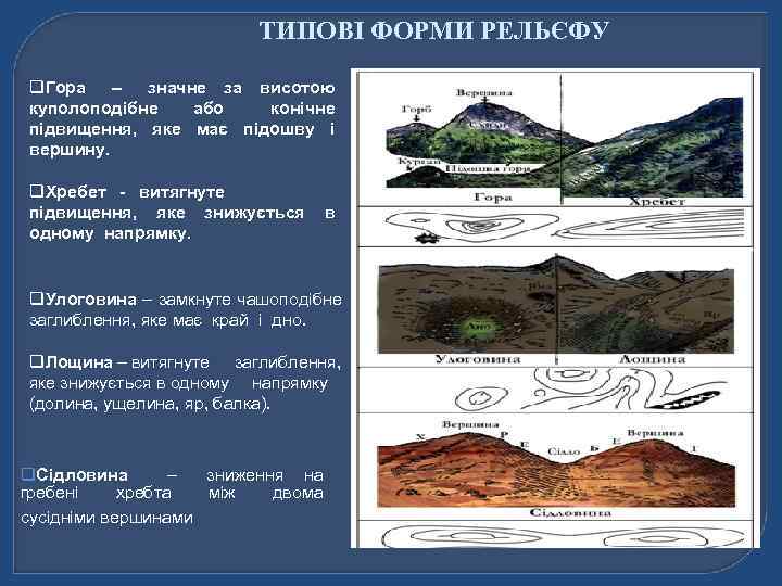 ТИПОВІ ФОРМИ РЕЛЬЄФУ q. Гора – значне за висотою куполоподібне або конічне підвищення, яке