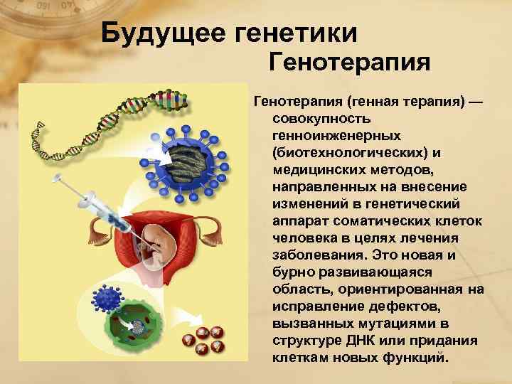 Будущее генетики Генотерапия (генная терапия) — совокупность генноинженерных (биотехнологических) и медицинских методов, направленных на