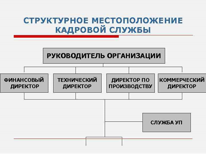 СТРУКТУРНОЕ МЕСТОПОЛОЖЕНИЕ КАДРОВОЙ СЛУЖБЫ РУКОВОДИТЕЛЬ ОРГАНИЗАЦИИ ФИНАНСОВЫЙ ДИРЕКТОР ТЕХНИЧЕСКИЙ ДИРЕКТОР ПО ПРОИЗВОДСТВУ КОММЕРЧЕСКИЙ ДИРЕКТОР