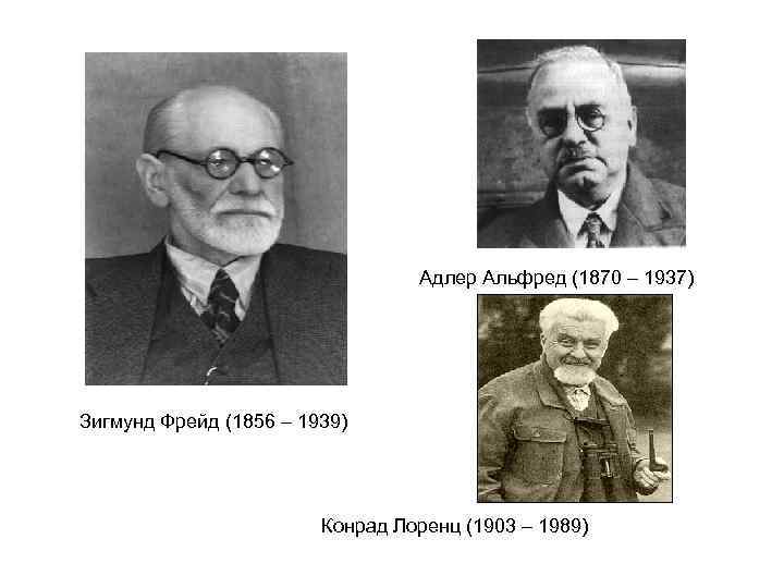 Адлер Альфред (1870 – 1937) Зигмунд Фрейд (1856 – 1939) Конрад Лоренц (1903 –