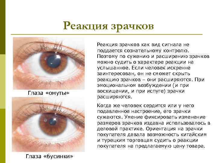 Реакция зрачков Глаза «омуты» Реакция зрачков как вид сигнала не поддается сознательному контролю. Поэтому