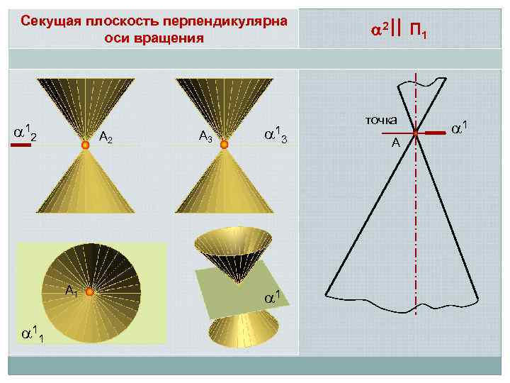 Секущая плоскость перпендикулярна оси вращения 1 А 2 2 А 1 11 А 3