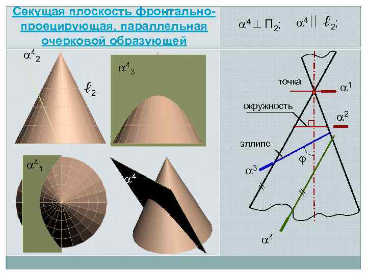 Секущая плоскость фронтальнопроецирующая, параллельная очерковой образующей 42 43 4 П 2; 4 ℓ 2;