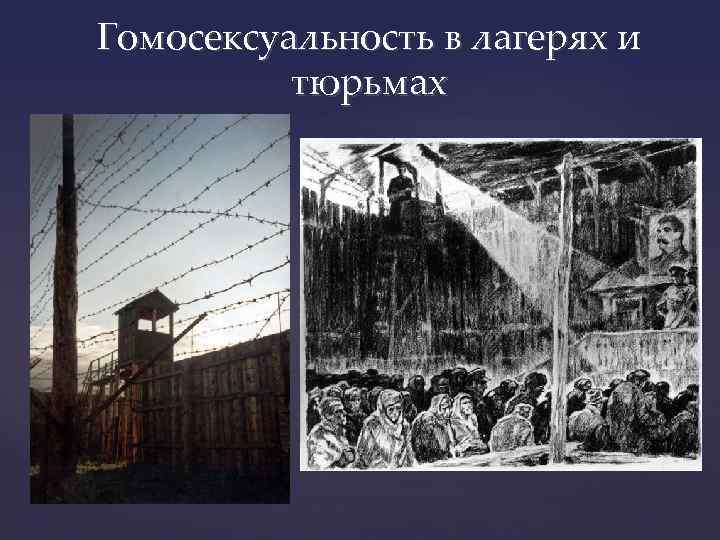 Гомосексуальность в лагерях и тюрьмах 