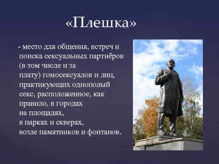  «Плешка» - место для общения, встреч и поиска сексуальных партнёров (в том числе