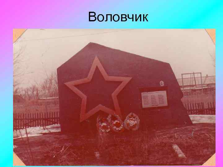 Воловчик 