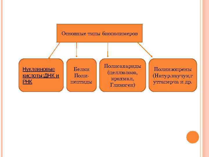 Основные типы биополимеров Нуклеиновые кислоты: ДНК и РНК Белки Полипептиды Полисахариды (целлюлоза, крахмал, Гликоген)