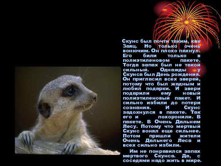 Скунс был почти таким, как Заяц. Hо только очень вонючим. Он плохо пахнул. Его