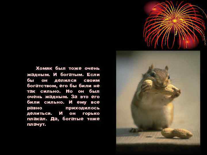 Хомяк был тоже очень жадным. И богатым. Если бы он делился своим богатством, его