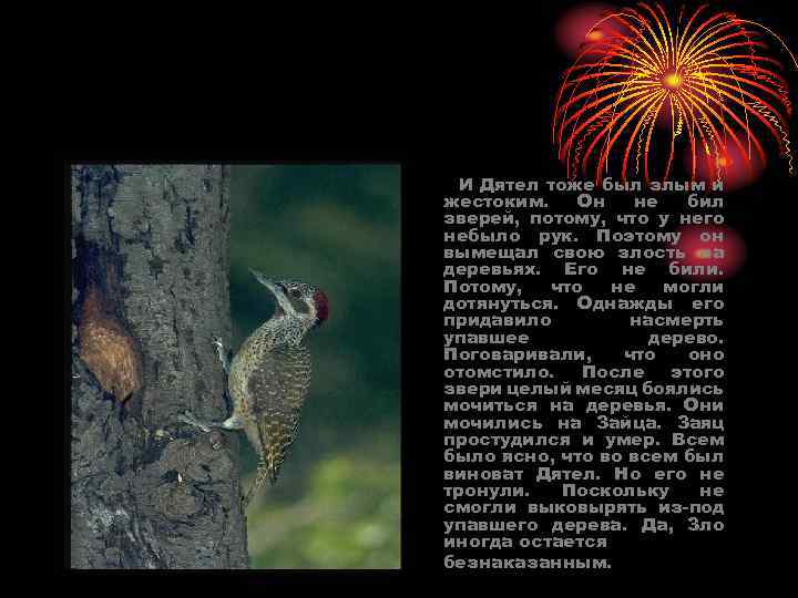 И Дятел тоже был злым и жестоким. Он не бил зверей, потому, что у