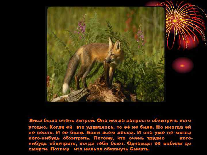 Лиса была очень хитрой. Она могла запросто обхитрить кого угодно. Когда ей это удавалось,