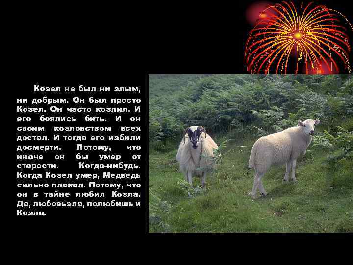 Козел не был ни злым, ни добрым. Он был просто Козел. Он часто козлил.