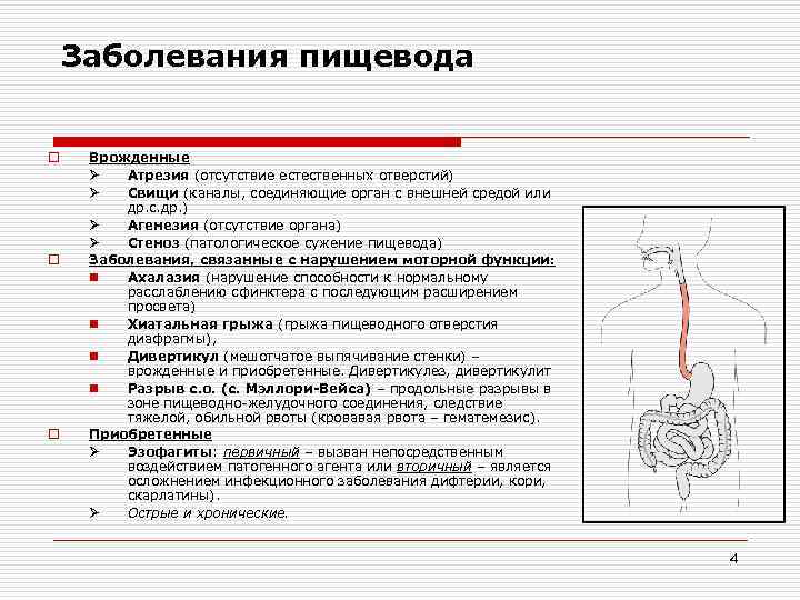 Заболевания пищевода o o o Врожденные Ø Атрезия (отсутствие естественных отверстий) Ø Свищи (каналы,