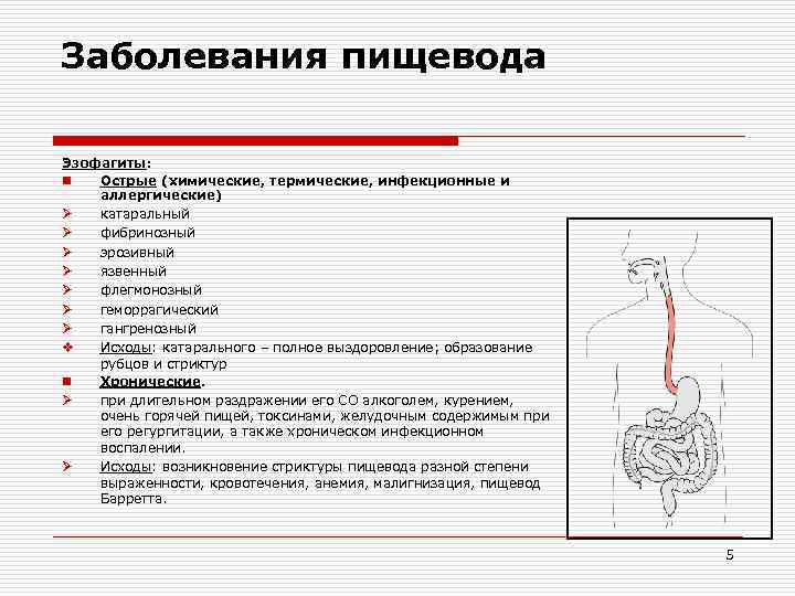 Заболевания пищевода Эзофагиты: n Острые (химические, термические, инфекционные и аллергические) Ø катаральный Ø фибринозный
