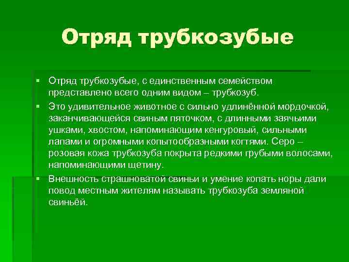 Отряд трубкозубые § Отряд трубкозубые, с единственным семейством представлено всего одним видом – трубкозуб.