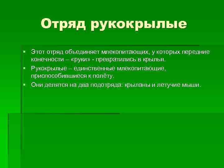 Отряд рукокрылые презентация