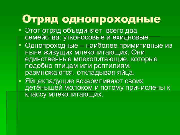 Отряд однопроходные § Этот отряд объединяет всего два семейства: утконосовые и ехидновые. § Однопроходные