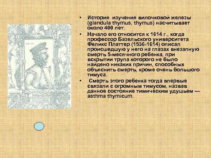  • • • История изучения вилочковой железы (glandula thymus, thymus) насчитывает около 400