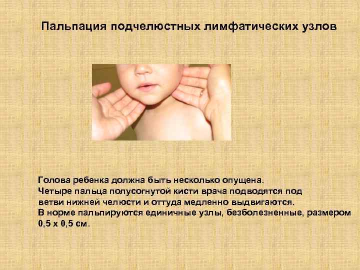 Пальпация подчелюстных лимфатических узлов Голова ребенка должна быть несколько опущена. Четыре пальца полусогнутой кисти