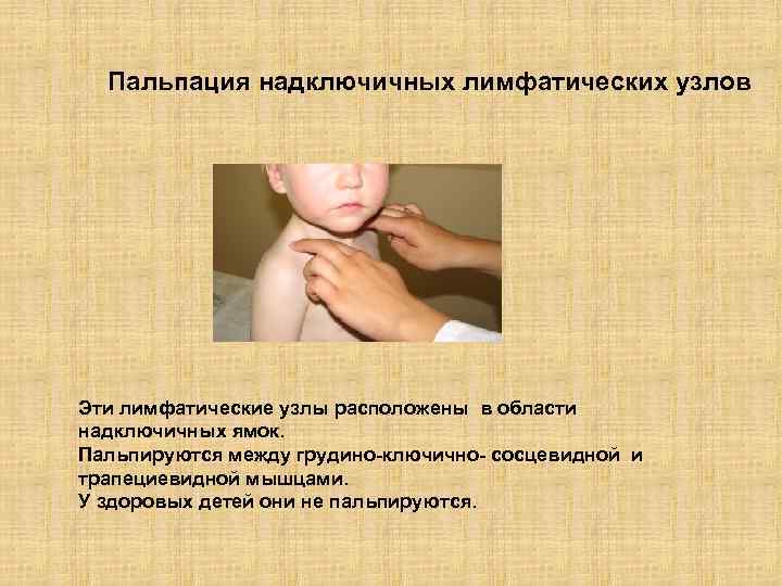 Пальпация надключичных лимфатических узлов Эти лимфатические узлы расположены в области надключичных ямок. Пальпируются между