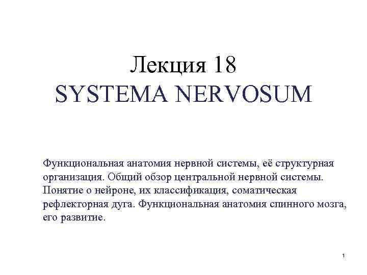 Лекция 18 SYSTEMA NERVOSUM Функциональная анатомия нервной системы, её структурная организация. Общий обзор центральной
