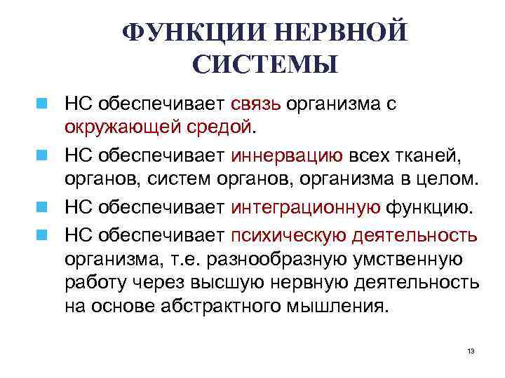 ФУНКЦИИ НЕРВНОЙ СИСТЕМЫ n НС обеспечивает связь организма с окружающей средой. n НС обеспечивает