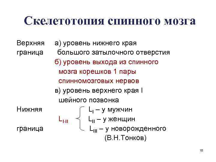 Скелетотопия спинного мозга Верхняя граница Нижняя граница а) уровень нижнего края большого затылочного отверстия