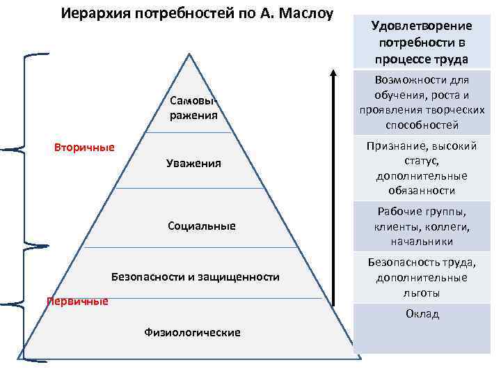 Типы потребностей. Потребности и их иерархия. Виды потребностей. Иерархия по Маслоу. Иерархия врожденных потребностей по Маслоу.