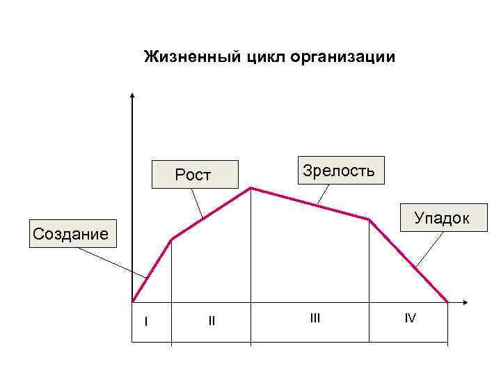 Жизненный цикл организации Рост Зрелость Упадок Создание I II IV 