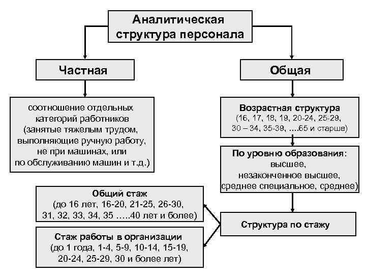 Общий оборот кадров. Аналитическая структура персонала. Статистическая и аналитическая структура персонала. Категории персонала и штатная структура. Возрастная структура персонала.