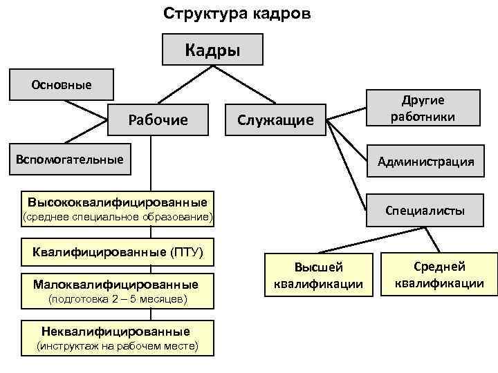 Кадровая структура