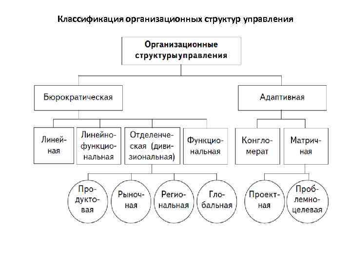 Из перечисленных структур