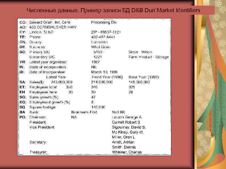 Численные данные. Пример записи БД D&B Dun`Market Identifiers 