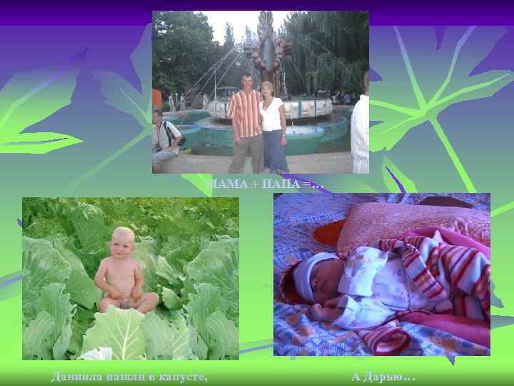 МАМА + ПАПА =… Даниила нашли в капусте, А Дарью… 