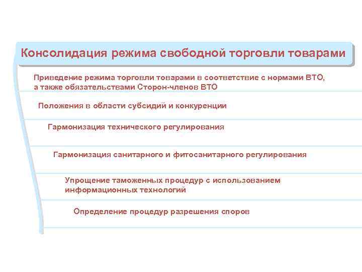 Консолидация режима свободной торговли товарами Приведение режима торговли товарами в соответствие с нормами ВТО,