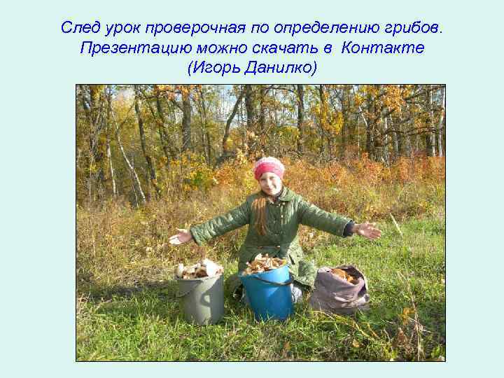 След урок проверочная по определению грибов. Презентацию можно скачать в Контакте (Игорь Данилко) 