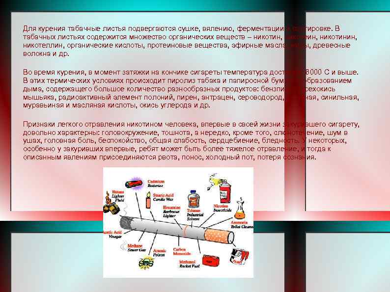 Для курения табачные листья подвергаются сушке, вялению, ферментации и сортировке. В табачных листьях содержится